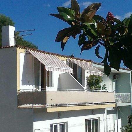 Apartmani Carevic 바스카보다 외부 사진