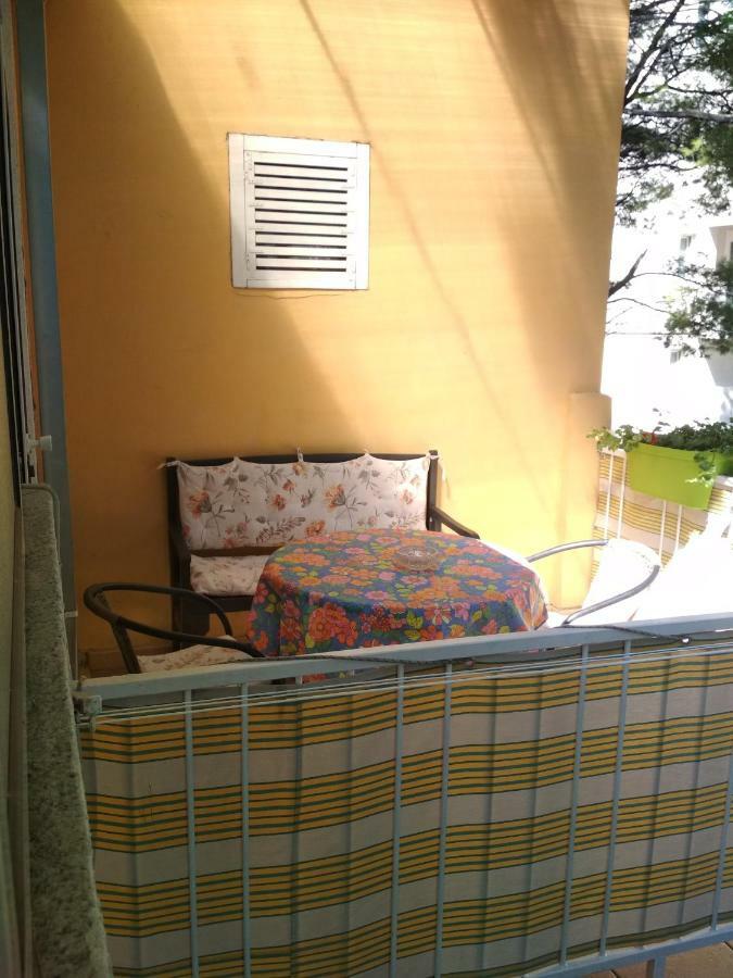 Apartmani Carevic 바스카보다 외부 사진