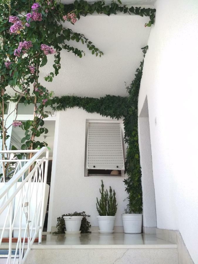 Apartmani Carevic 바스카보다 외부 사진
